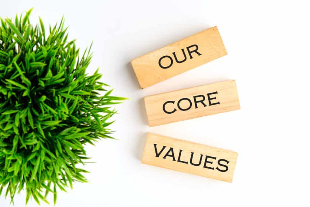 Particle Analytical core values